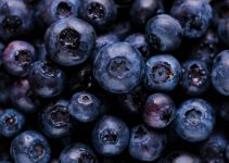Berry Bonanza: Unleashing Their Antiaging Secrets