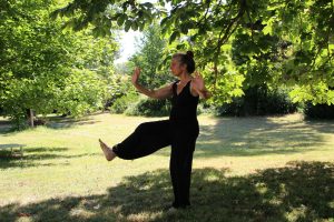 Tai Chi: The Dance of Balance and Eternal Youth